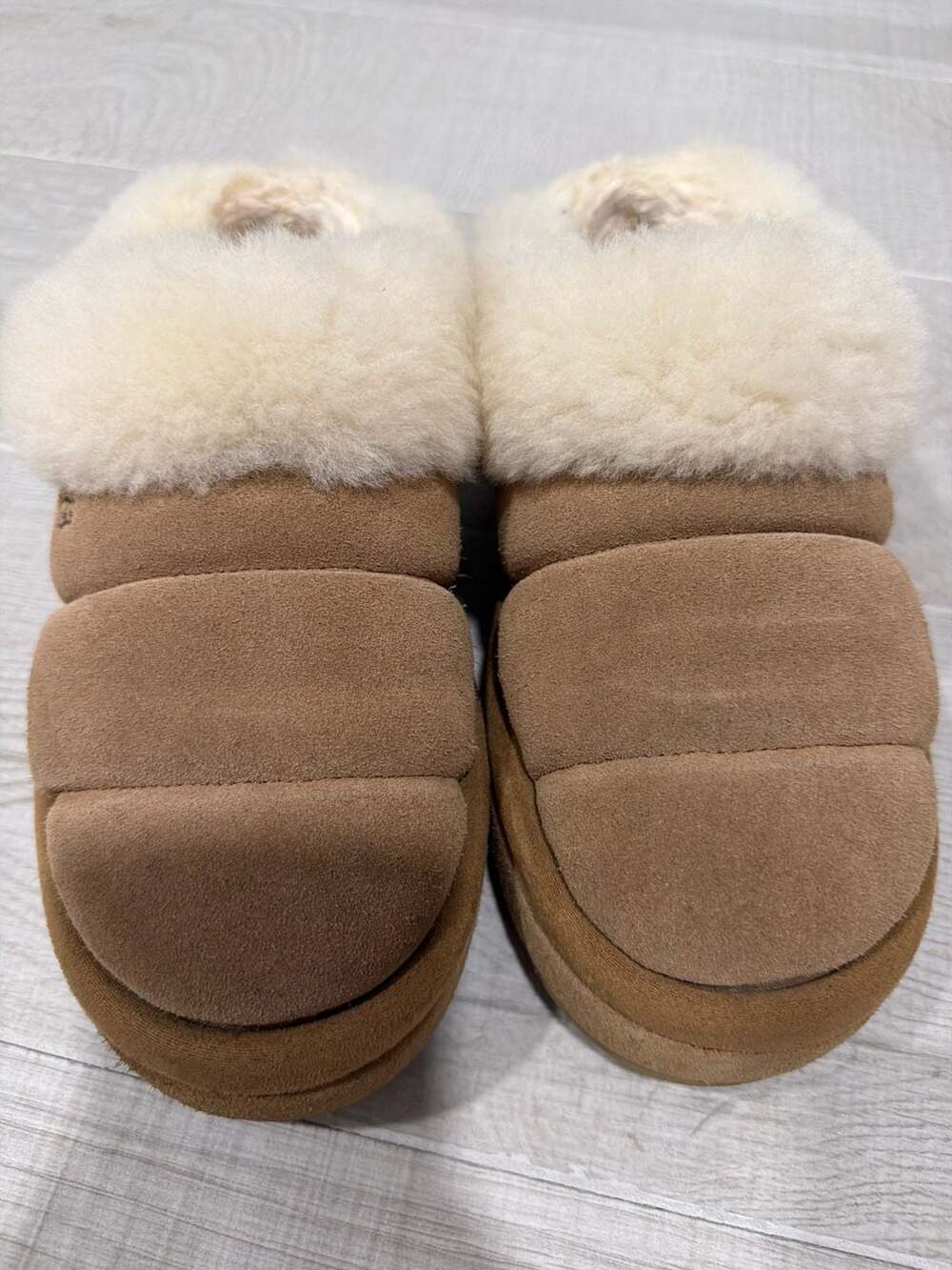 UGG Tazzlita Flatform Slipper in Chestnut